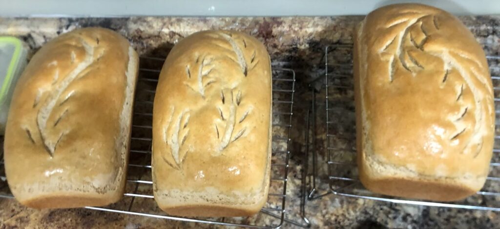 Oliver's Branch Fresh Baked bread